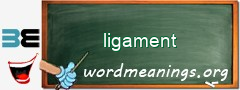 WordMeaning blackboard for ligament